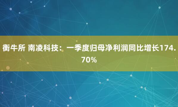 衡牛所 南凌科技：一季度归母净利润同比增长174.70%