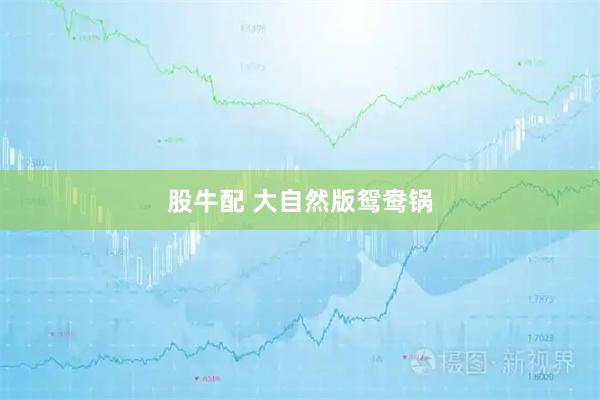 股牛配 大自然版鸳鸯锅