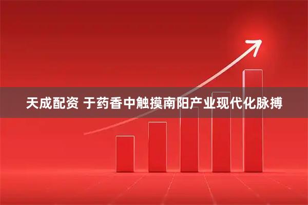 天成配资 于药香中触摸南阳产业现代化脉搏