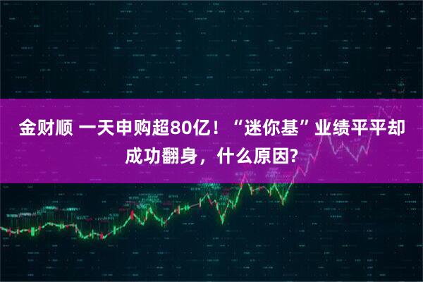 金财顺 一天申购超80亿！“迷你基”业绩平平却成功翻身，什么原因?