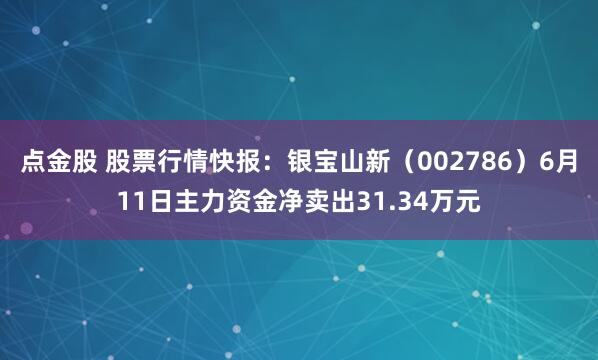 点金股 股票行情快报：银宝山新（002786）6月11日主力资金净卖出31.34万元