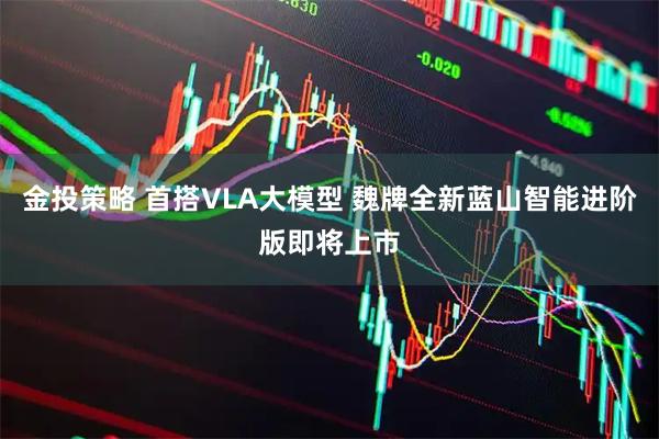 金投策略 首搭VLA大模型 魏牌全新蓝山智能进阶版即将上市