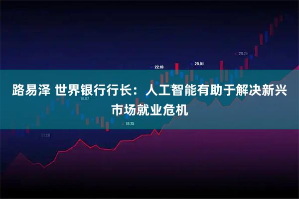 路易泽 世界银行行长：人工智能有助于解决新兴市场就业危机