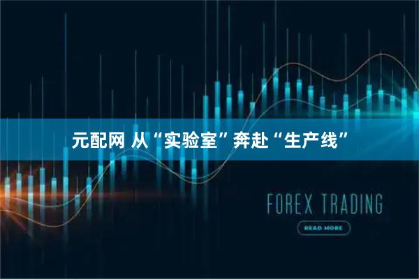 元配网 从“实验室”奔赴“生产线”