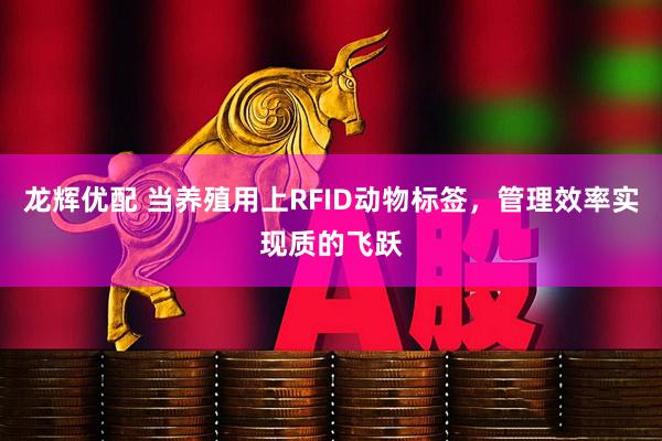 龙辉优配 当养殖用上RFID动物标签，管理效率实现质的飞跃