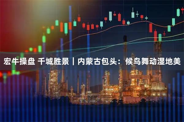 宏牛操盘 千城胜景｜内蒙古包头：候鸟舞动湿地美